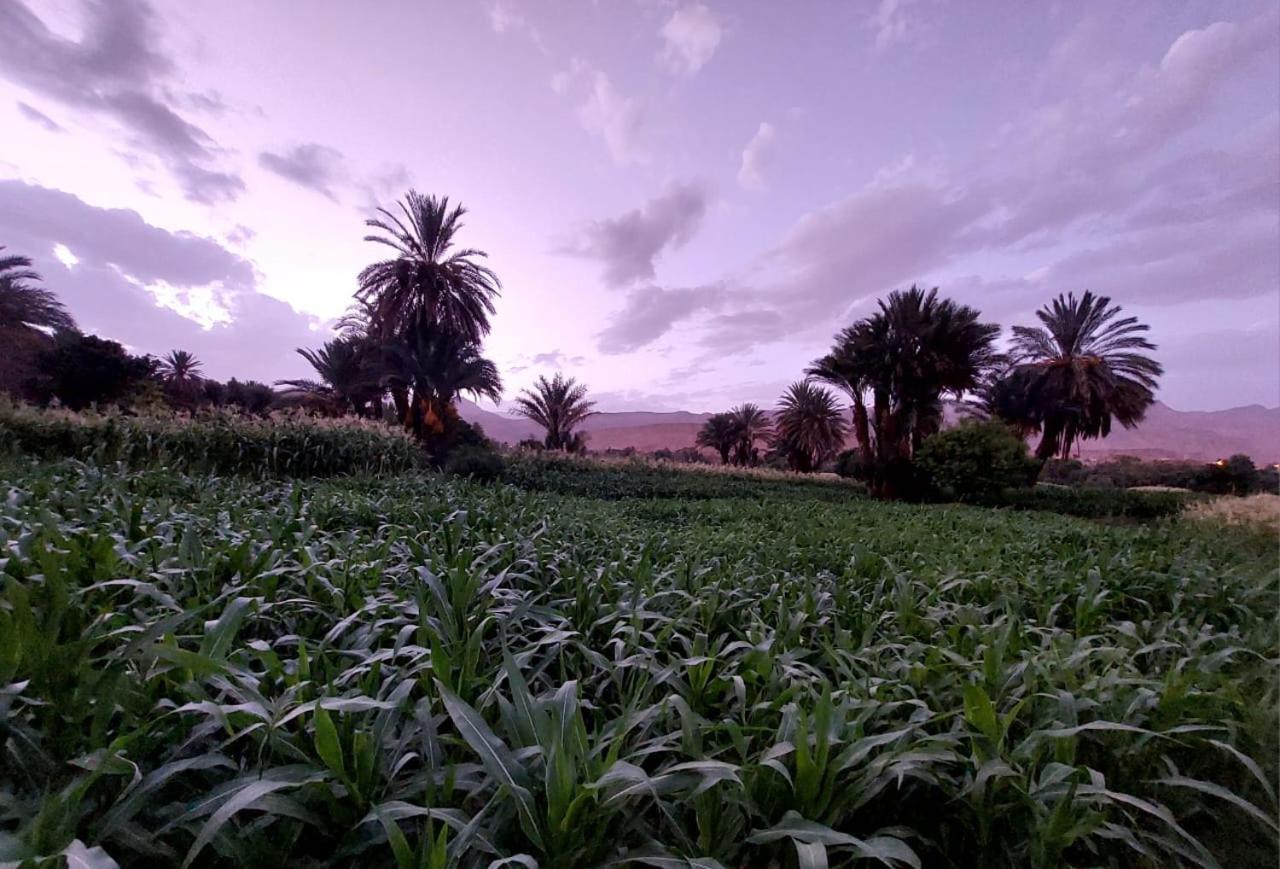 Riad Iriki Tinghir Buitenkant foto