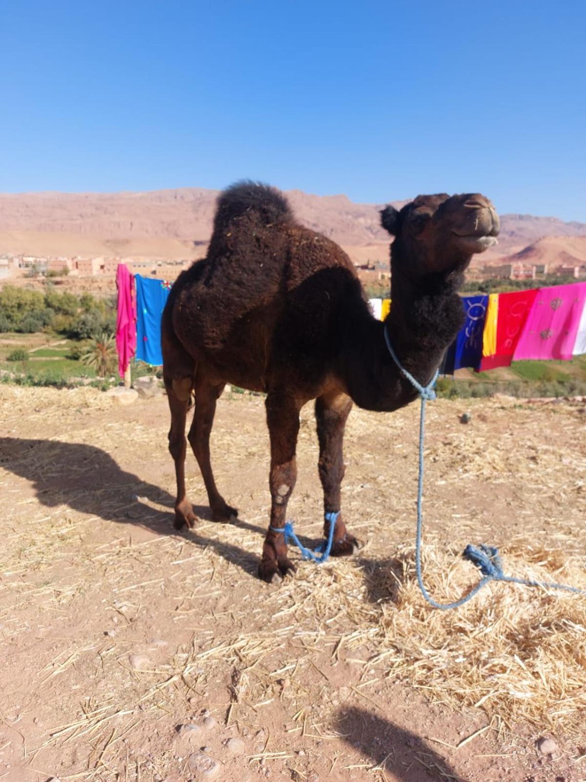 Riad Iriki Tinghir Buitenkant foto